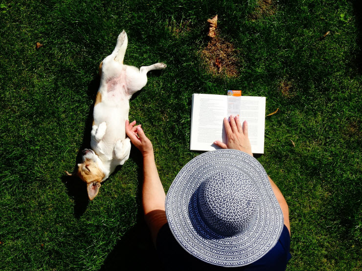 Airial image of woman with dog